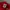 Vintage Hoody Pria red photo 4