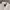 Kangol Vintage Casual Hoody Pria white photo 3