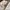Nike Vintage Casual Sweatshirt Pria white photo 4