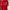 Adidas Sportswear Jersey Pria Red
