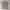 NATIONAL GEOGRAPHIC POLO SHIRT photo 3