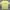 Kaos BTS “Boy With Luv” Official Big Hit Entertainment