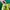 Sepatu PUMA Slipstream SpongeBob SquarePants – Limited Editi photo 4