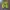 Sepatu joging pria ringan warna neon green  photo 2