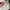 Miffy Doll photo 4