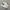 Vans Era 95 DX Anaheim Factory OG Natural WhiteSS23 Original photo 1