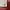 2003-05 England Home Football Shirt Double Side photo 8