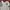 1999-00 England Home Football Shirt photo 3
