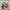 Adidas Casual Sneakers Pria white tan photo 1