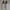 Keds x Kate Spade New York Champion Glitter in Cream photo 1
