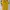 T-shirt Nike Brazil Football Shirt  Jersey Trikot. photo 1