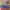 Nike Zoom Morant 1 EP Multi Color photo 1