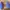 Nike Zoom Morant 1 EP Multi Color photo 2