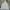Carhartt Vintage Hoody Pria white photo 1
