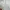 Carhartt Vintage Hoody Pria white photo 4
