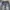 BAGGY JEANS AOP JMB photo 3