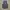 Formal vest inner suit photo 1