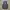 Formal Vest Inner Suit