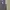 Formal vest inner suit photo 2