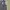 Formal Vest Inner Suit