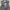 Formal vest inner suit photo 3