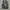 Formal vest inner suit photo 1