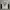 Y2K MMA ELITE TRIBAL SKULL  photo 1
