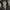 Columbia Gorpcore Track jacket Pria cream gray photo 6