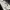 New Balance Gorpcore Indie Windbreaker Pria black gray photo 6