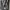 [ORIGINAL] MLB NY Yankees Monogram Hobo Bag Black/White photo 1