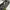 [ORIGINAL] MLB NY Yankees Monogram Hobo Bag Black/White photo 4
