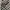 kemeja/shirt grey by Oakley photo 4
