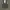 Formal vest inner suit photo 1