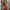 Vintage pink tank top photo 1