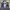 Formal vest inner suit photo 3