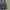 Formal vest inner suit photo 2