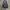 Formal vest inner suit photo 1