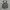 Formal vest inner suit photo 1