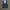 Formal vest inner suit photo 1