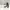 Salvatore Ferragamo White Side Logo Sunglasses photo 4