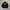 Covernat Coach Jacket