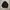 Spao parka m65 field jacket canvas photo 2