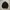 Spao Parka M65 Field Jacket Canvas