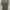 Ribbon Knit Wear photo 1