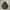 Uniqlo Hybrid Down Jacket