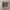 Mlen Diary Extention  photo 4