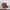 Timberland vintage chukka boots photo 5