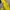 Kaos Black Yak Baselayer Kaos Outdoor Yellow Reflektif Trekk photo 4