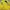 Kaos Black Yak Baselayer Kaos Outdoor Yellow Reflektif Trekk photo 1