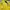 Kaos Black Yak Baselayer Kaos Outdoor Yellow Reflektif Trekk
